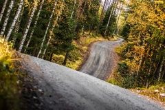 wrc21-prokop-finland-33