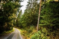 wrc21-prokop-finland-36