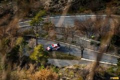 monte23-WRC-45