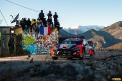 WRC23-Monte-84