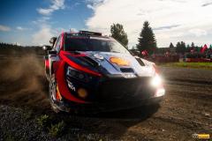 WRC23-of-22