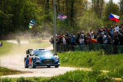 WRC23-of-24-ford