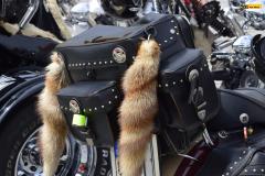 zehnani-Rosice24-mus-36