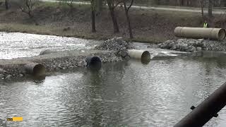 Bagr v řece Svratce. Video.
